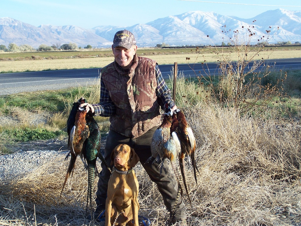Pheasants after the hunt