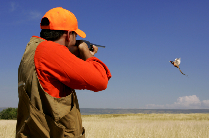 Schedule a hunt at Pheasant Grove